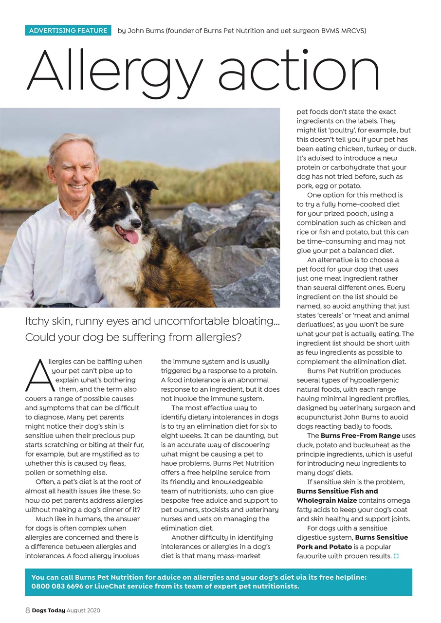 Dogs Today Magazine Preview Pages