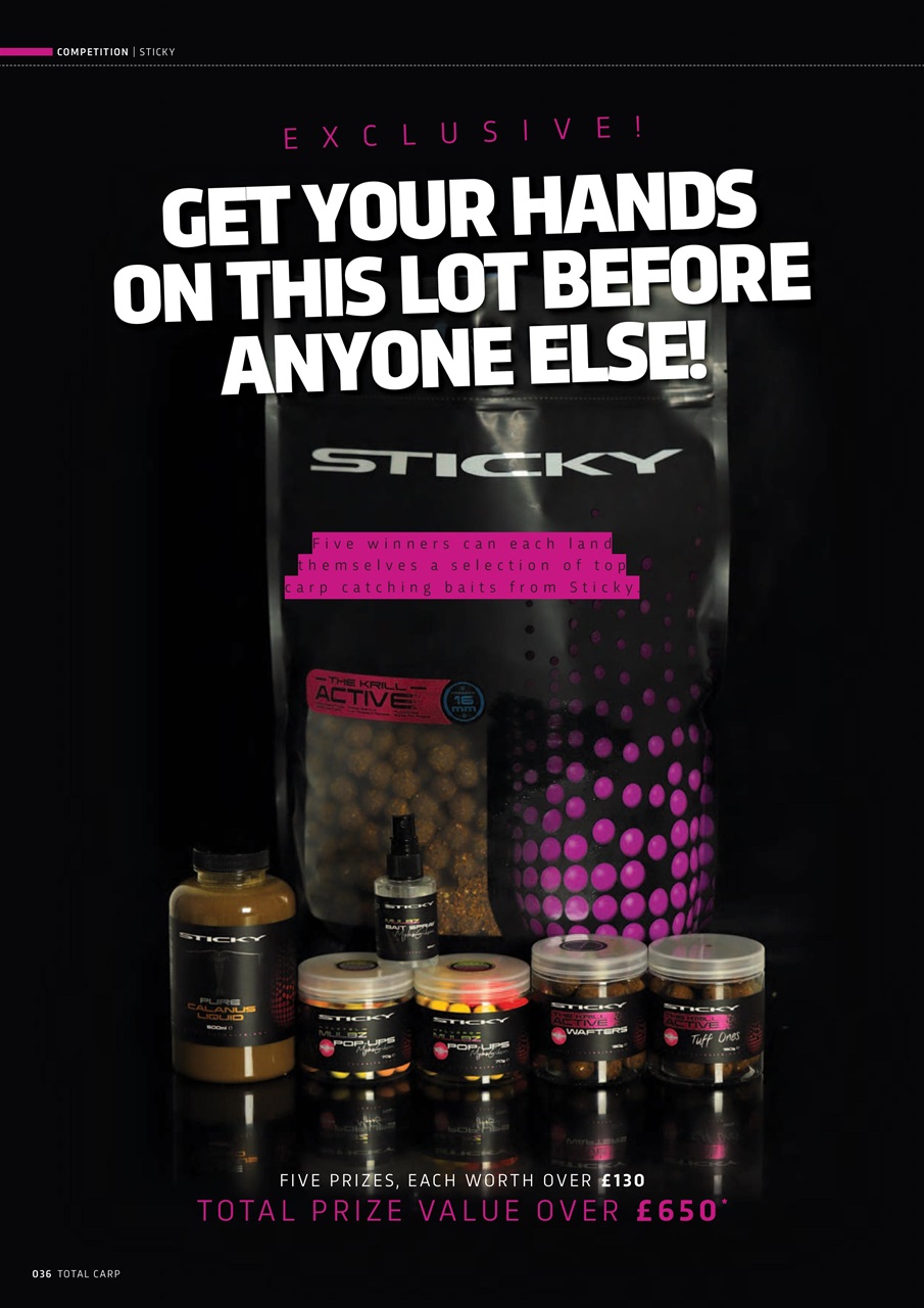 Total Carp Preview Pages