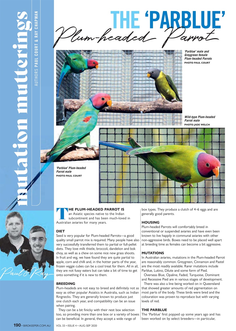 Australian Birdkeeper Magazine Preview Pages