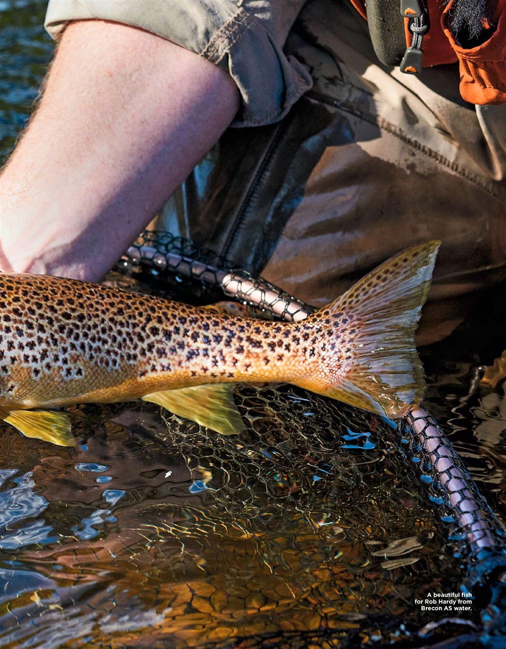 Trout & Salmon Preview Pages