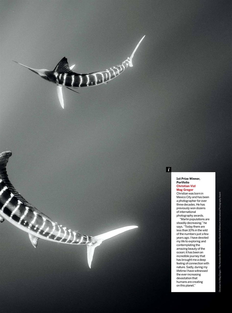 Digital Camera Magazine Preview Pages