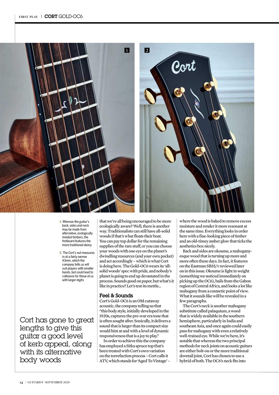 Guitarist Preview Pages