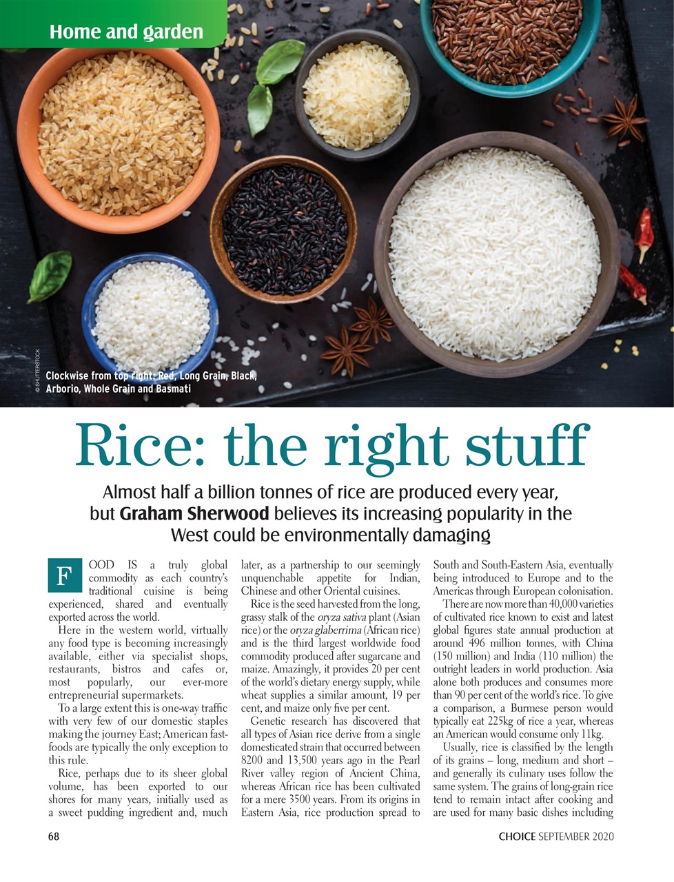 Choice Magazine Preview Pages