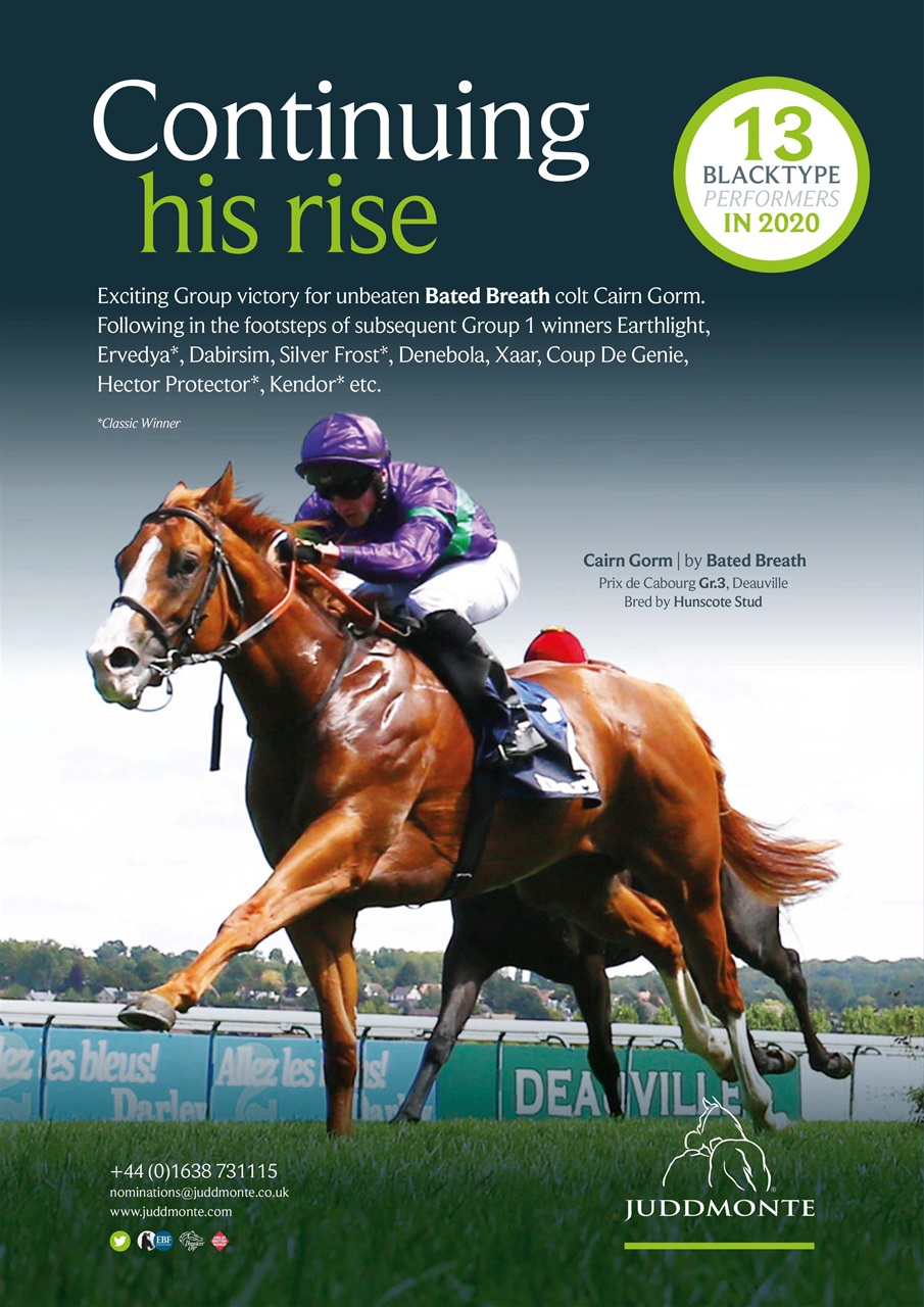 The Owner Breeder Preview Pages