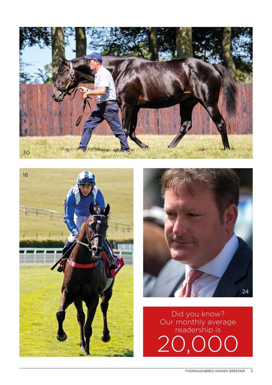 The Owner Breeder Preview Pages