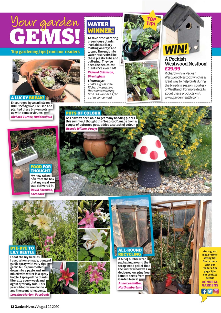 Garden News Preview Pages