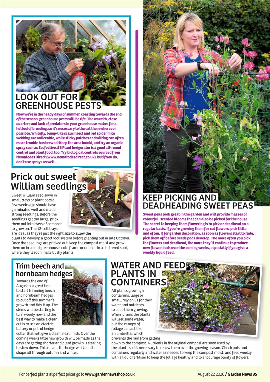 Garden News Preview Pages