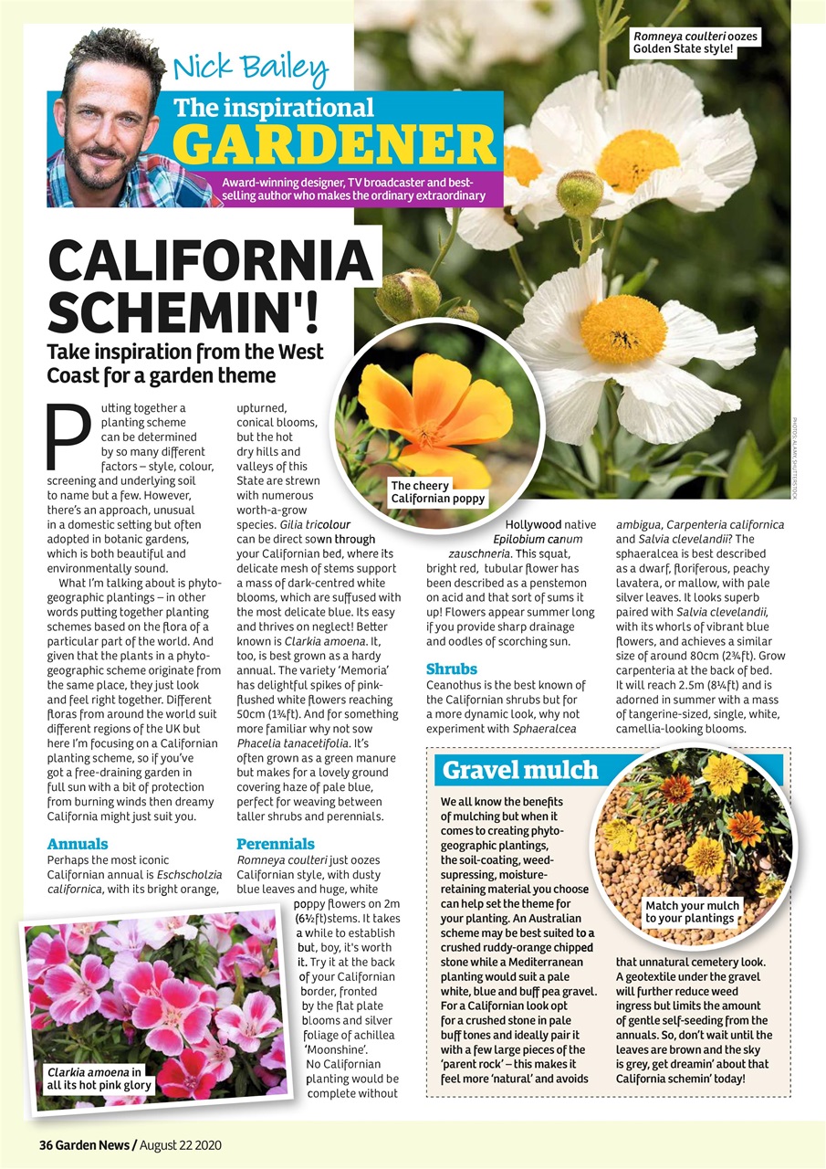 Garden News Preview Pages