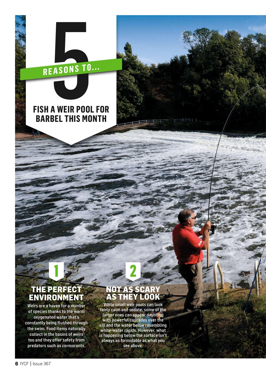 Improve Your Coarse Fishing Preview Pages