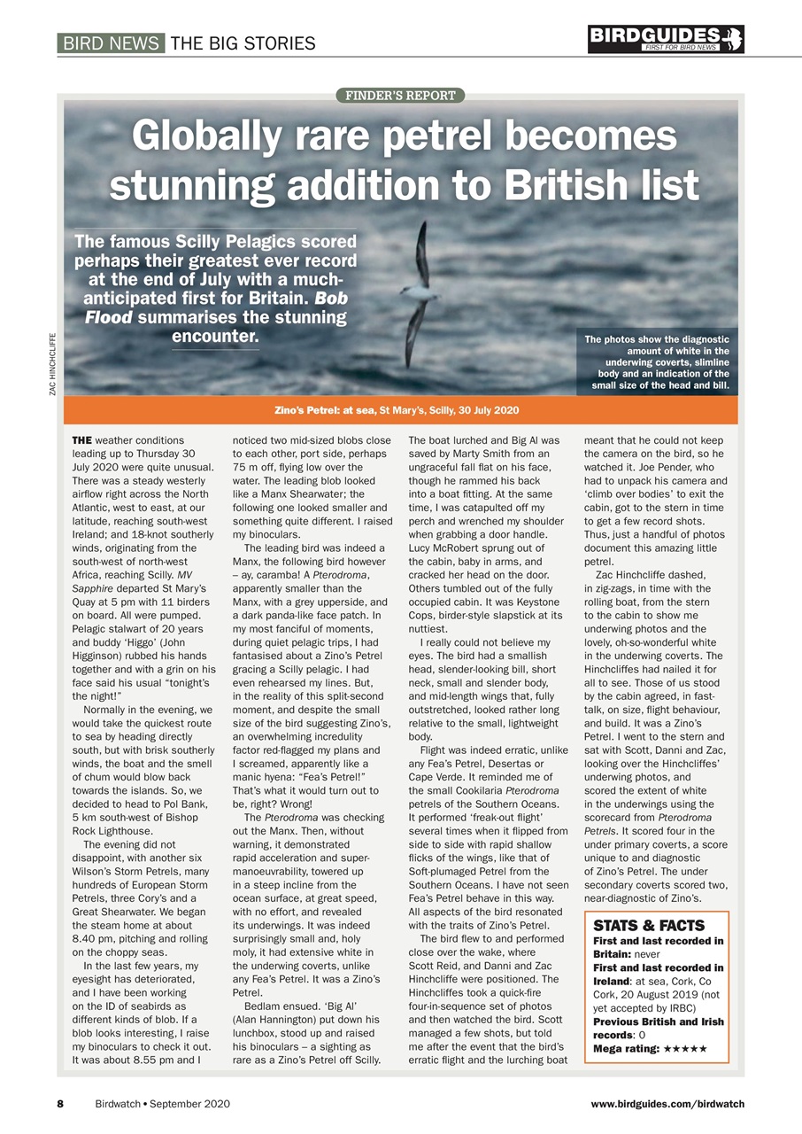 Birdwatch Magazine Preview Pages
