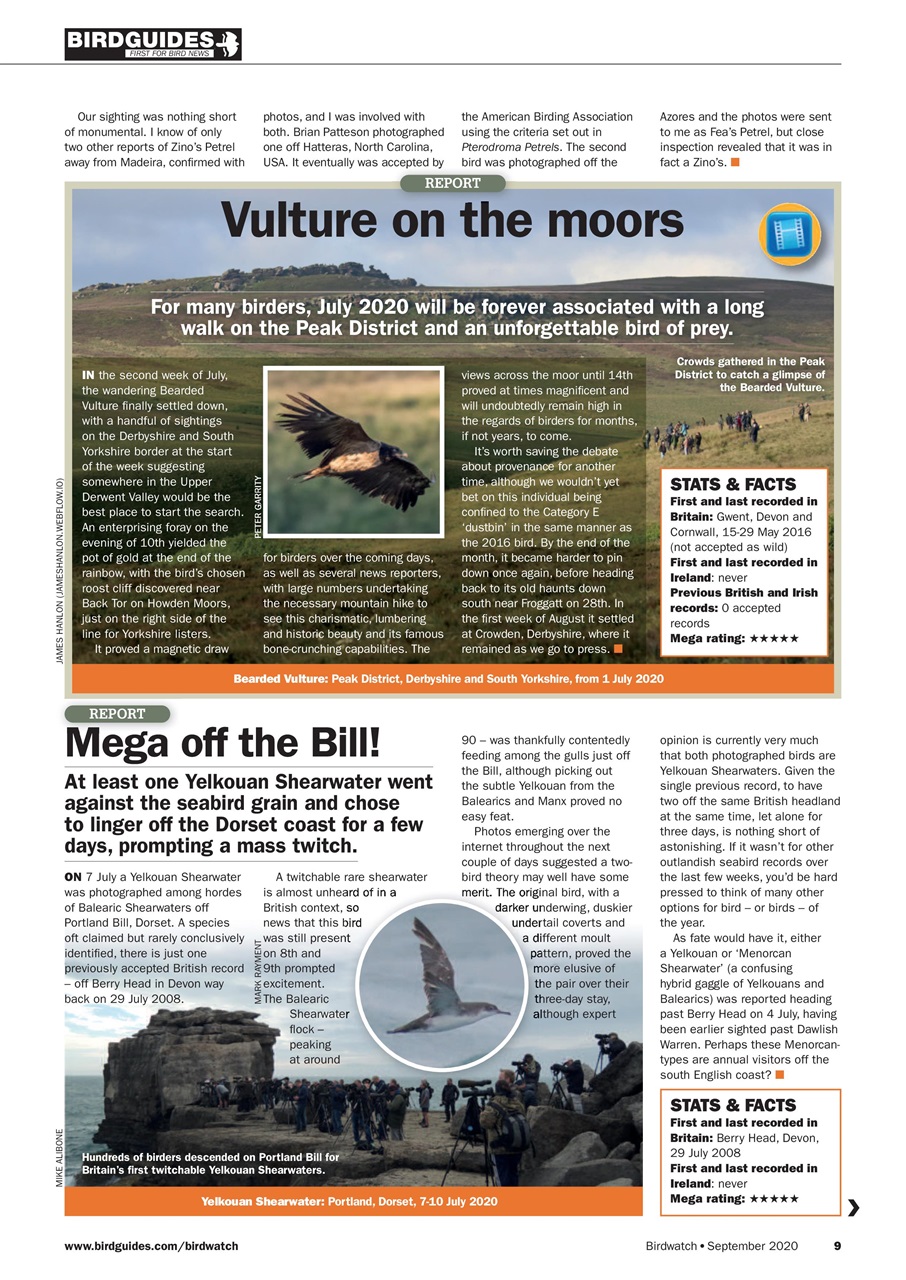 Birdwatch Magazine Preview Pages