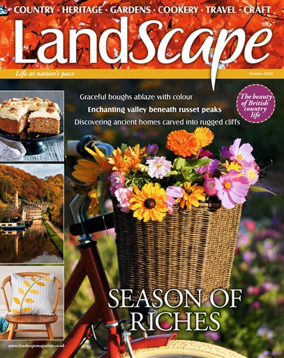 LandScape issue 