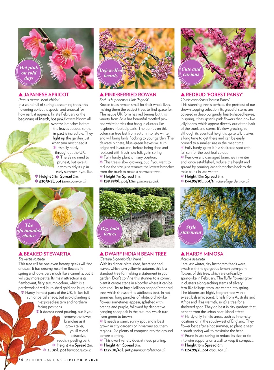 Modern Gardens Preview Pages
