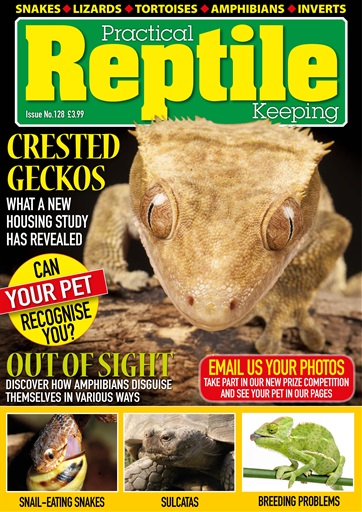 Practical Reptile Keeping issue 