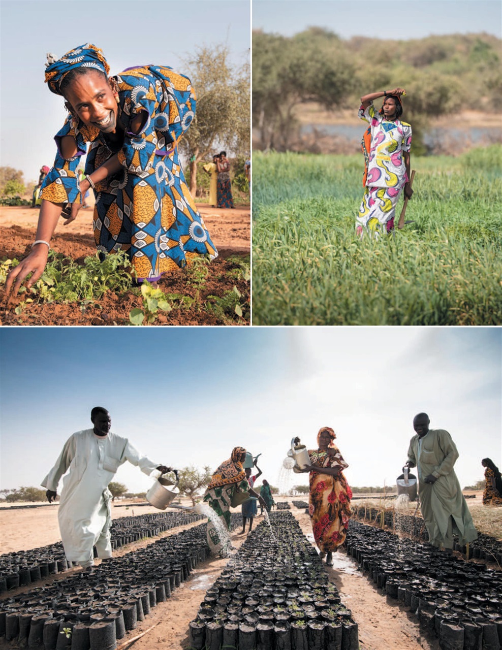 Breathe Preview Pages