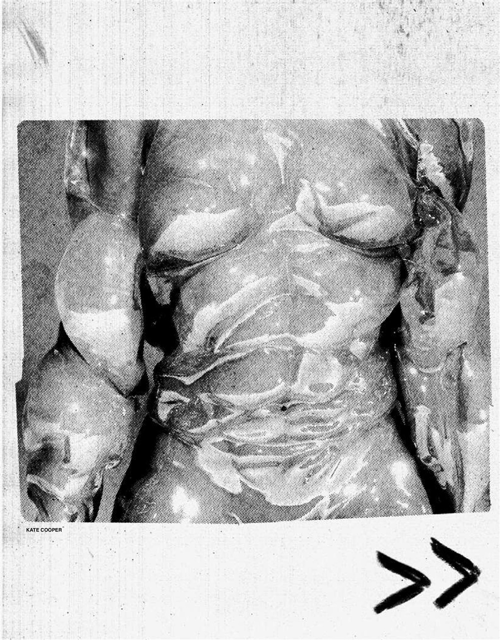 Adbusters Preview Pages