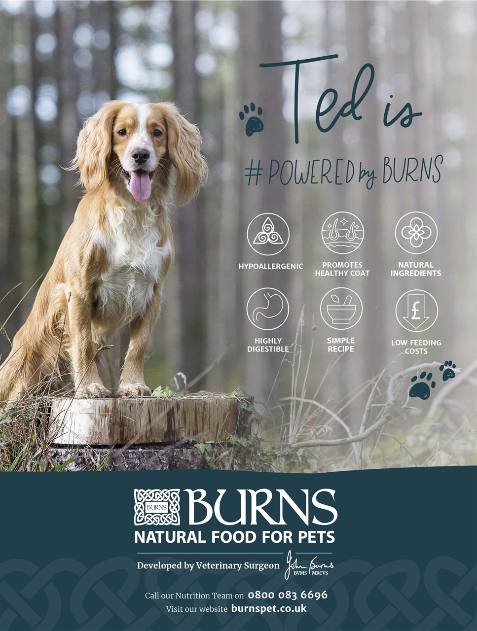 BBC Countryfile Magazine Preview Pages