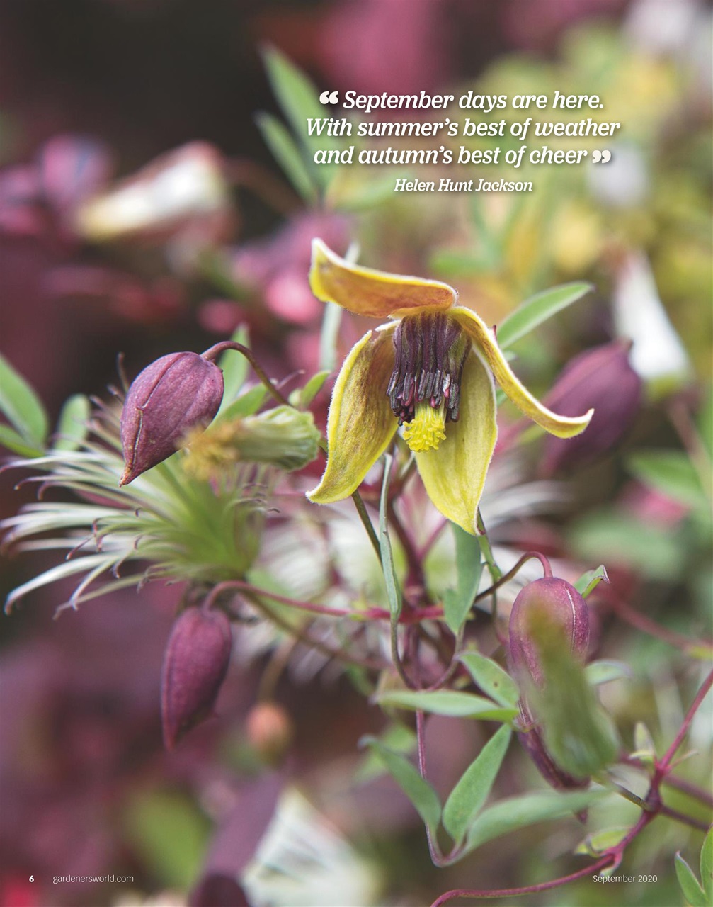 BBC Gardeners’ World Magazine Preview Pages