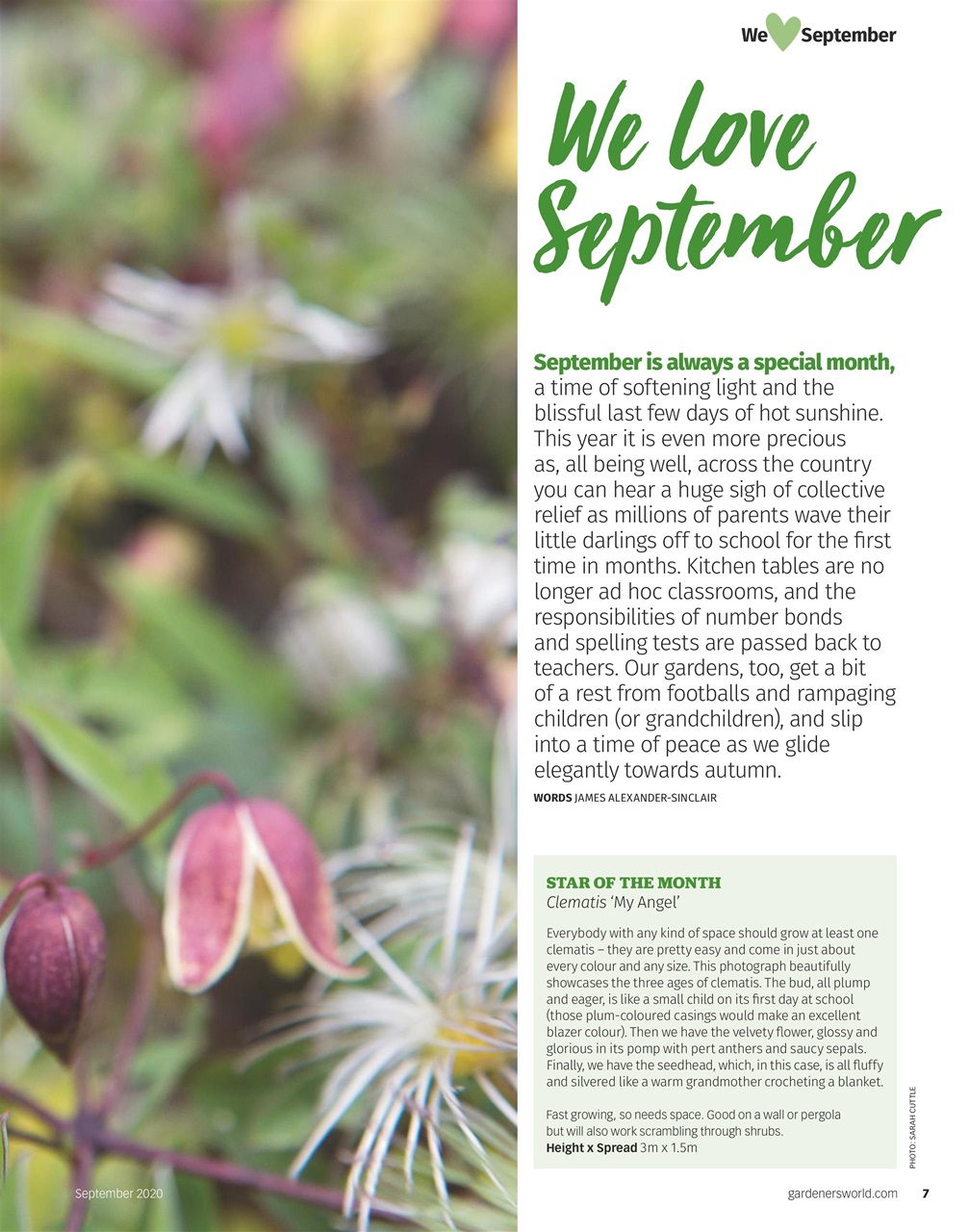 BBC Gardeners’ World Magazine Preview Pages