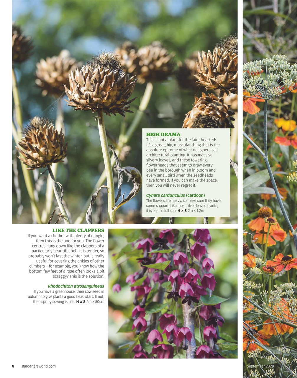 BBC Gardeners’ World Magazine Preview Pages