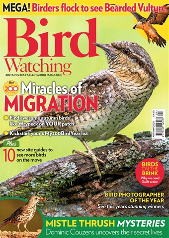 Bird Watching issue Aut 20