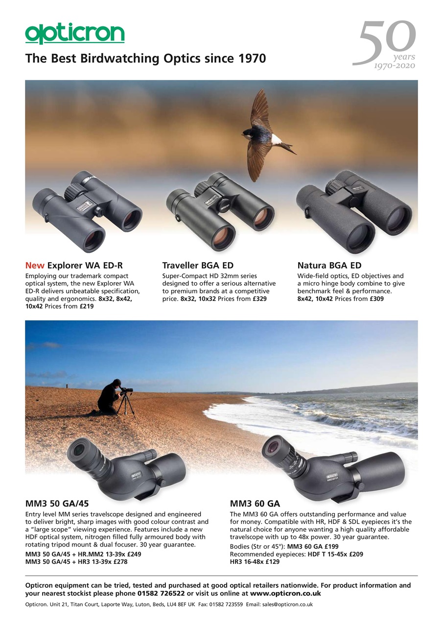 Bird Watching Preview Pages