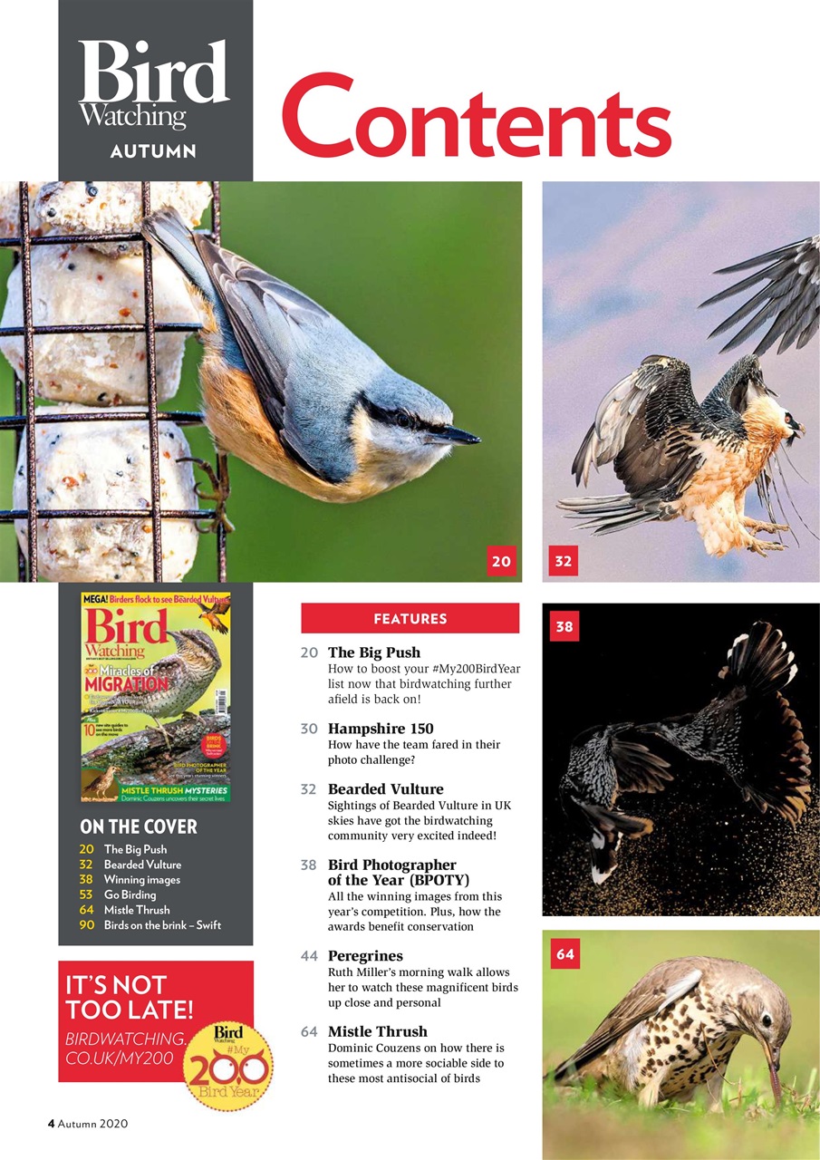 Bird Watching Preview Pages