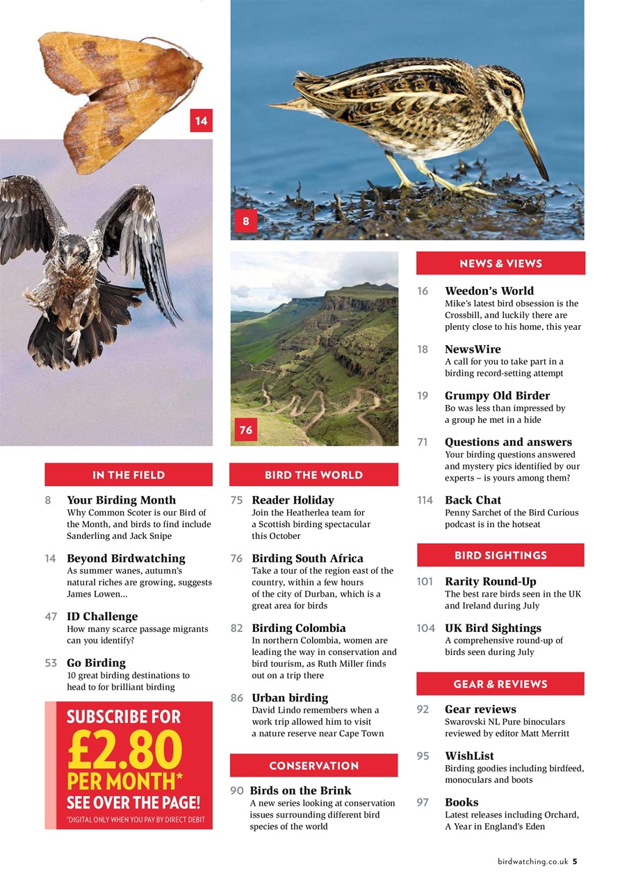 Bird Watching Preview Pages