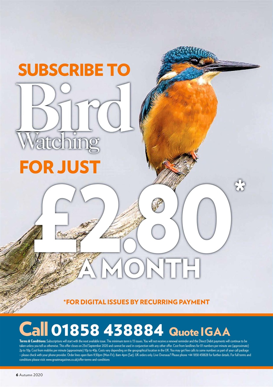 Bird Watching Preview Pages