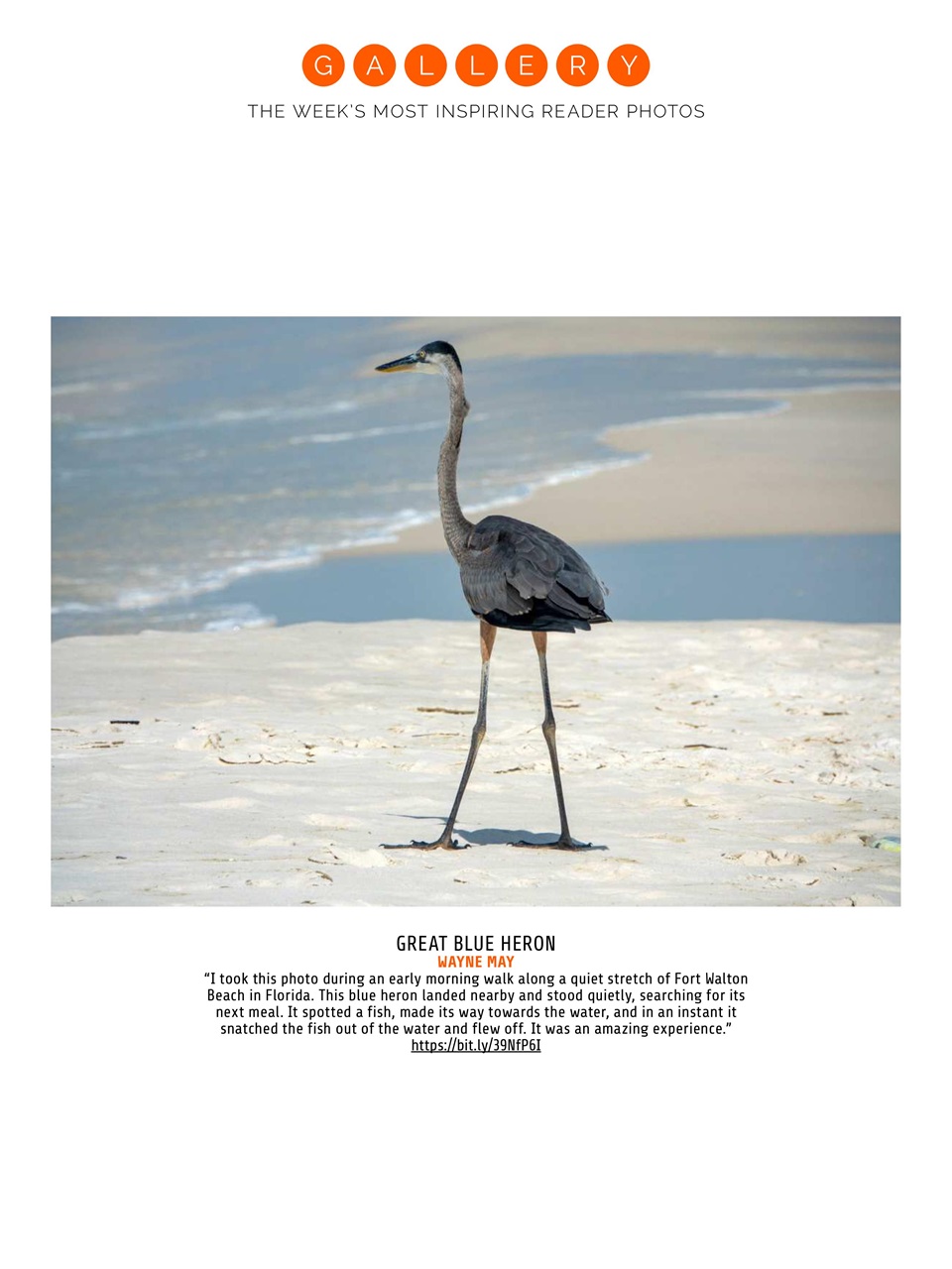 Photography Week Preview Pages