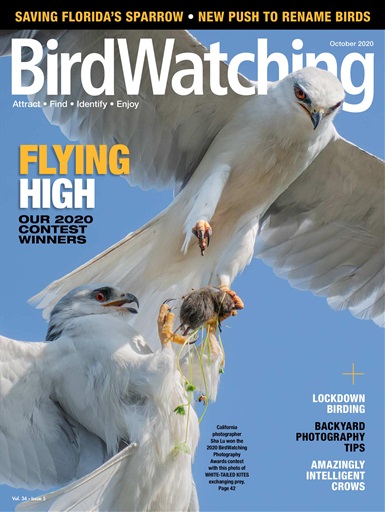BirdWatching issue 