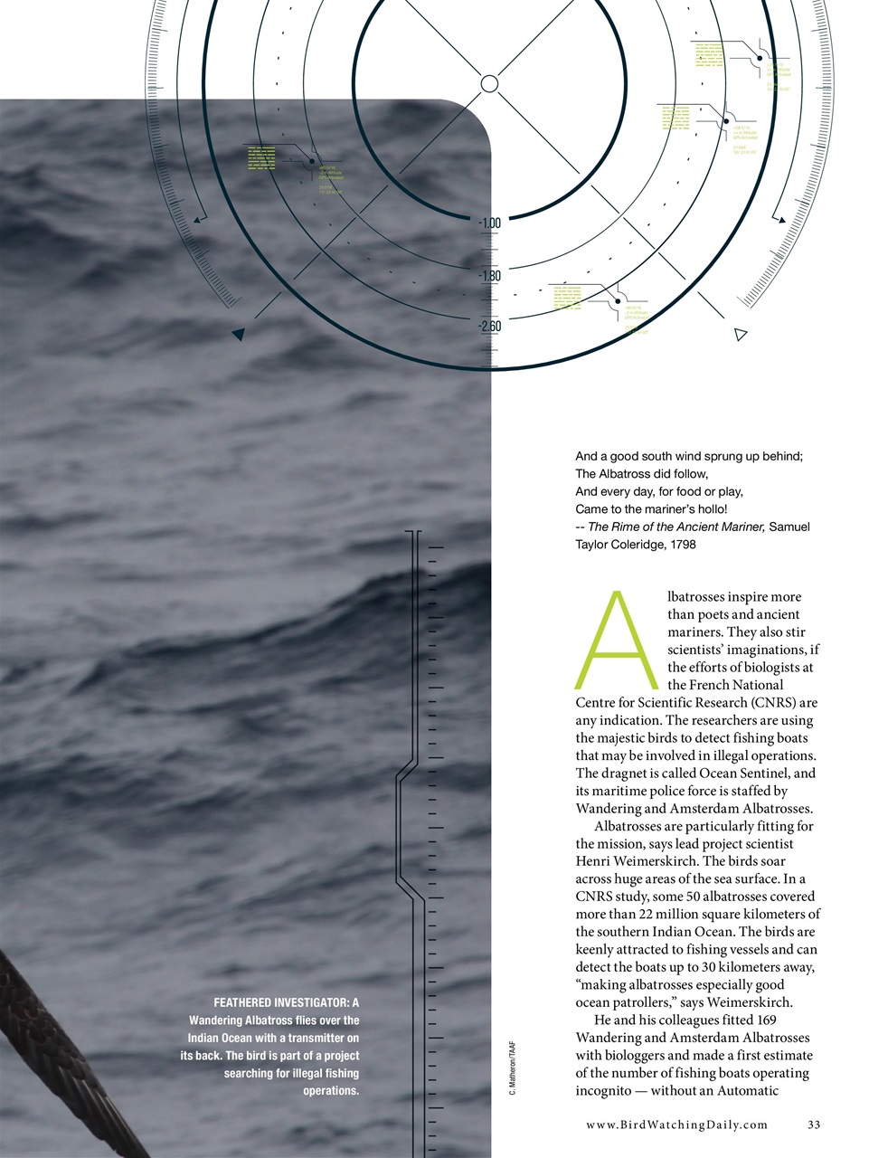 BirdWatching Preview Pages