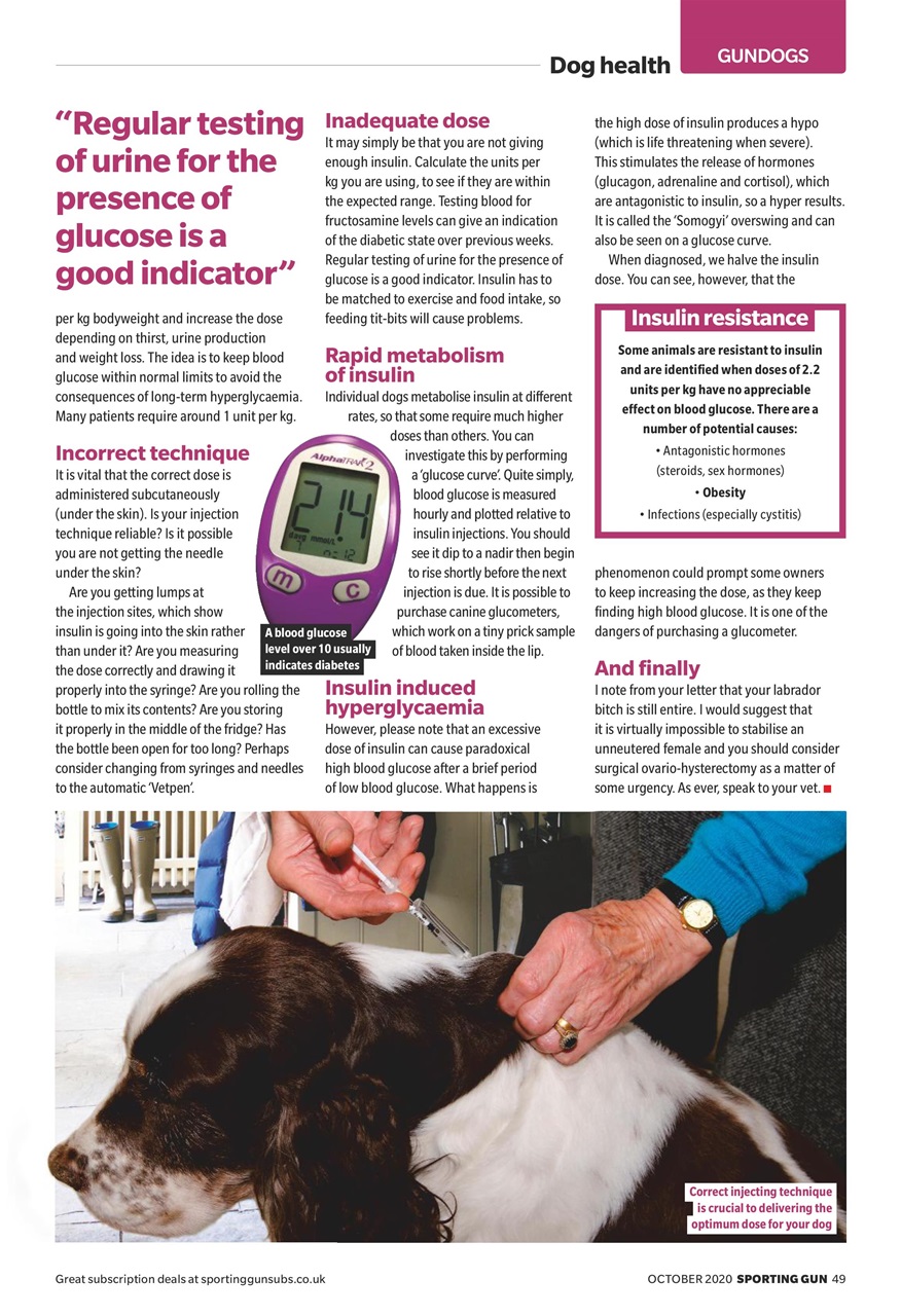 Sporting Gun Preview Pages