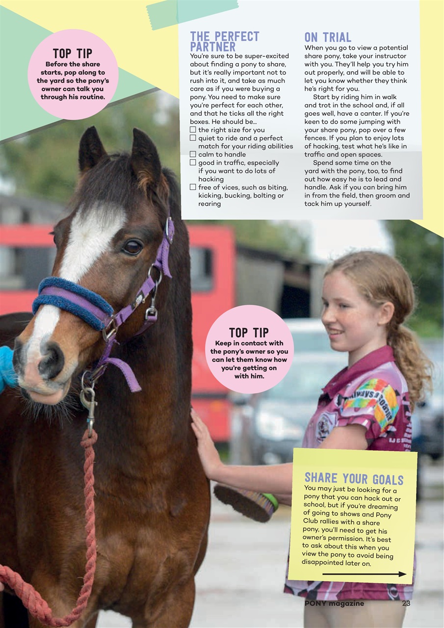Pony Magazine Preview Pages