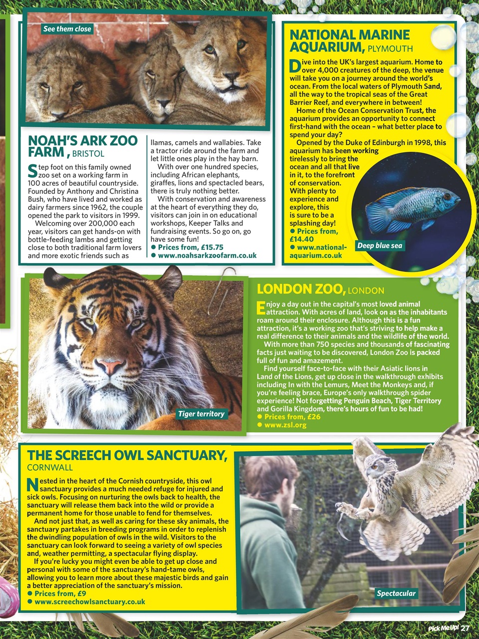 Pick Me Up! Special Preview Pages