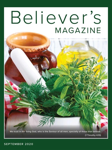 Believer Magazine issue 