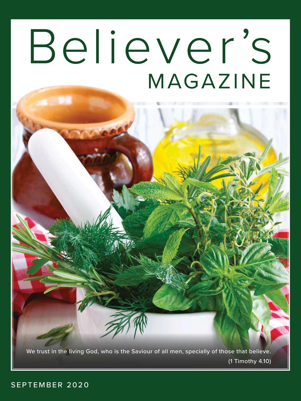 Believer Magazine Preview Pages