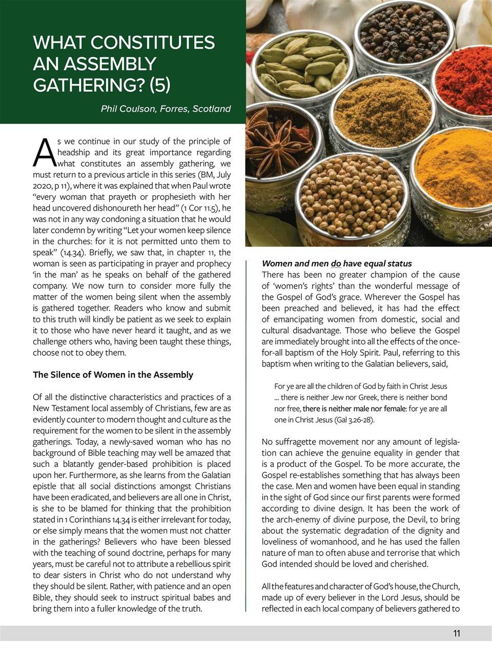 Believer Magazine Preview Pages