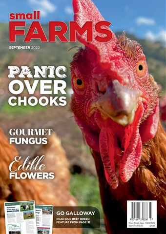 Small Farms issue September 2020