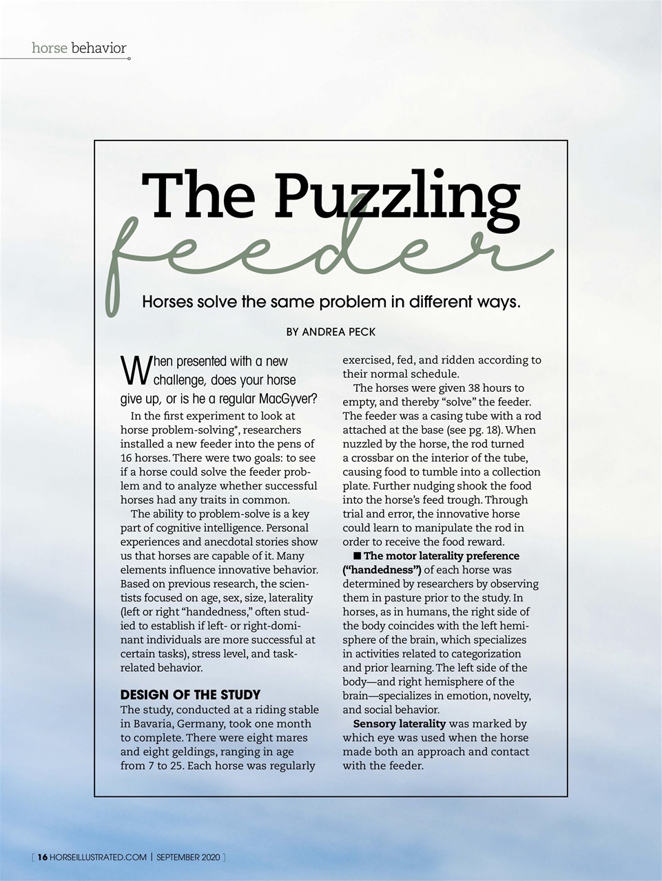 Horse Illustrated Magazine Preview Pages