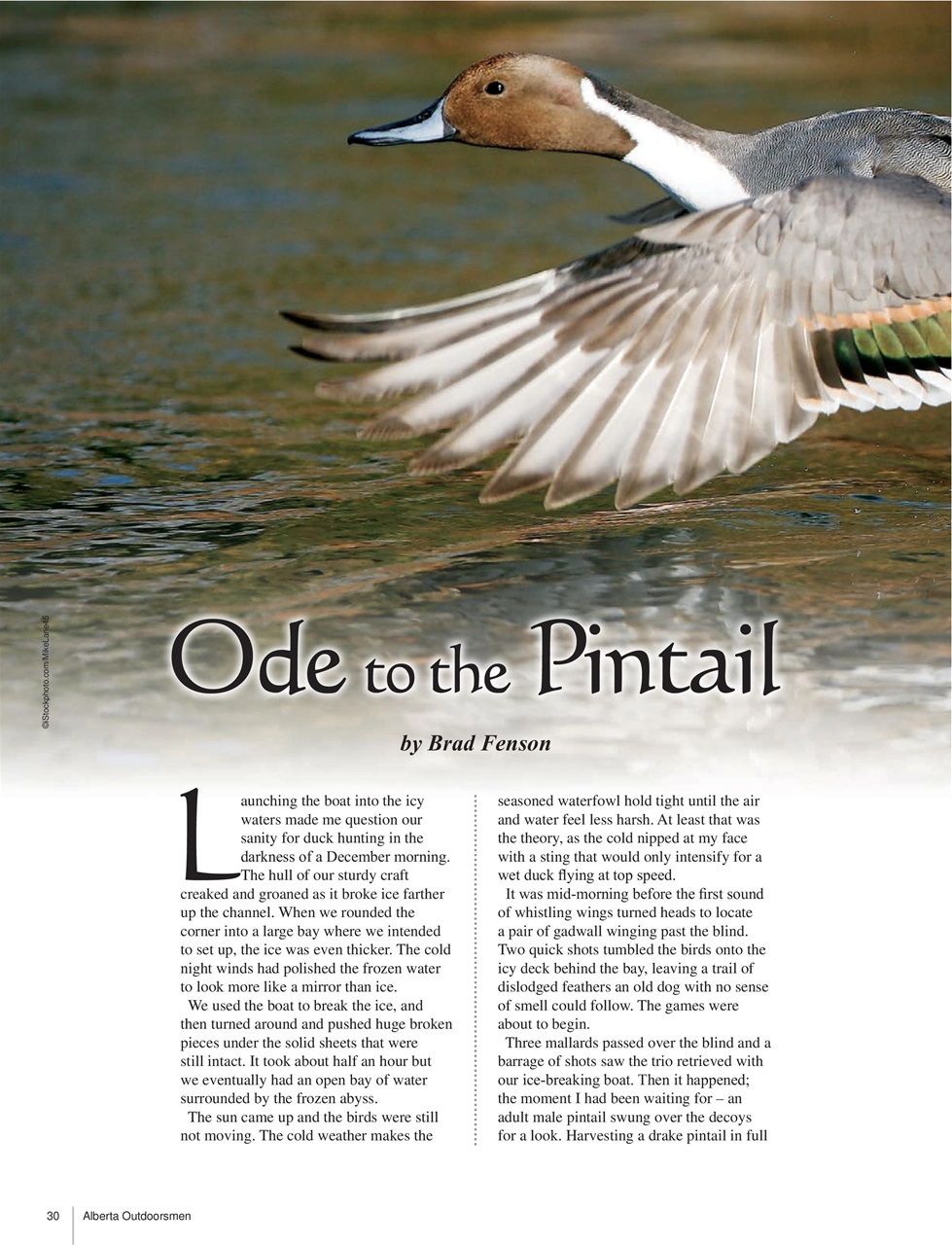 Alberta Outdoors Preview Pages