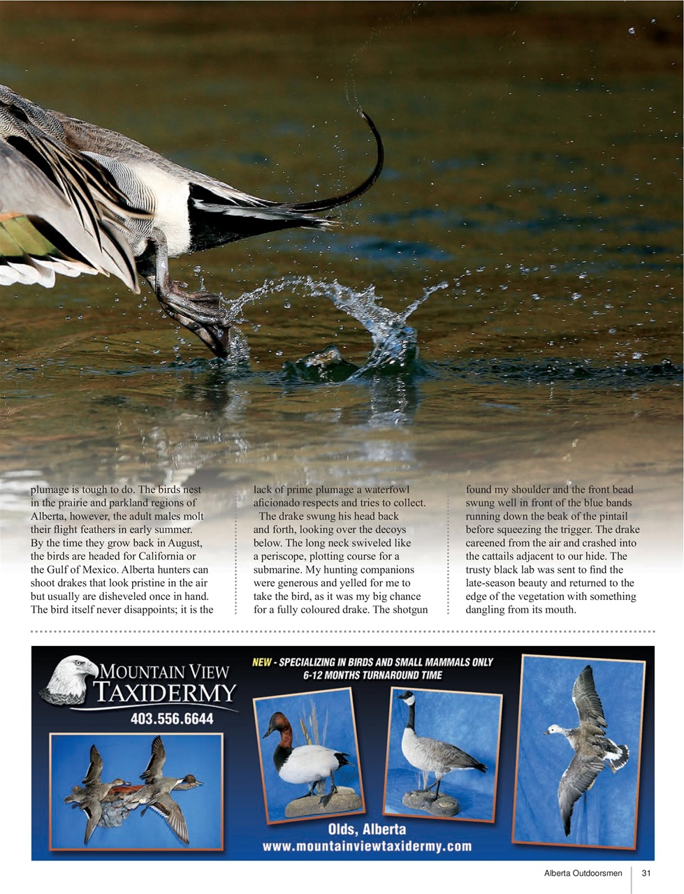 Alberta Outdoors Preview Pages