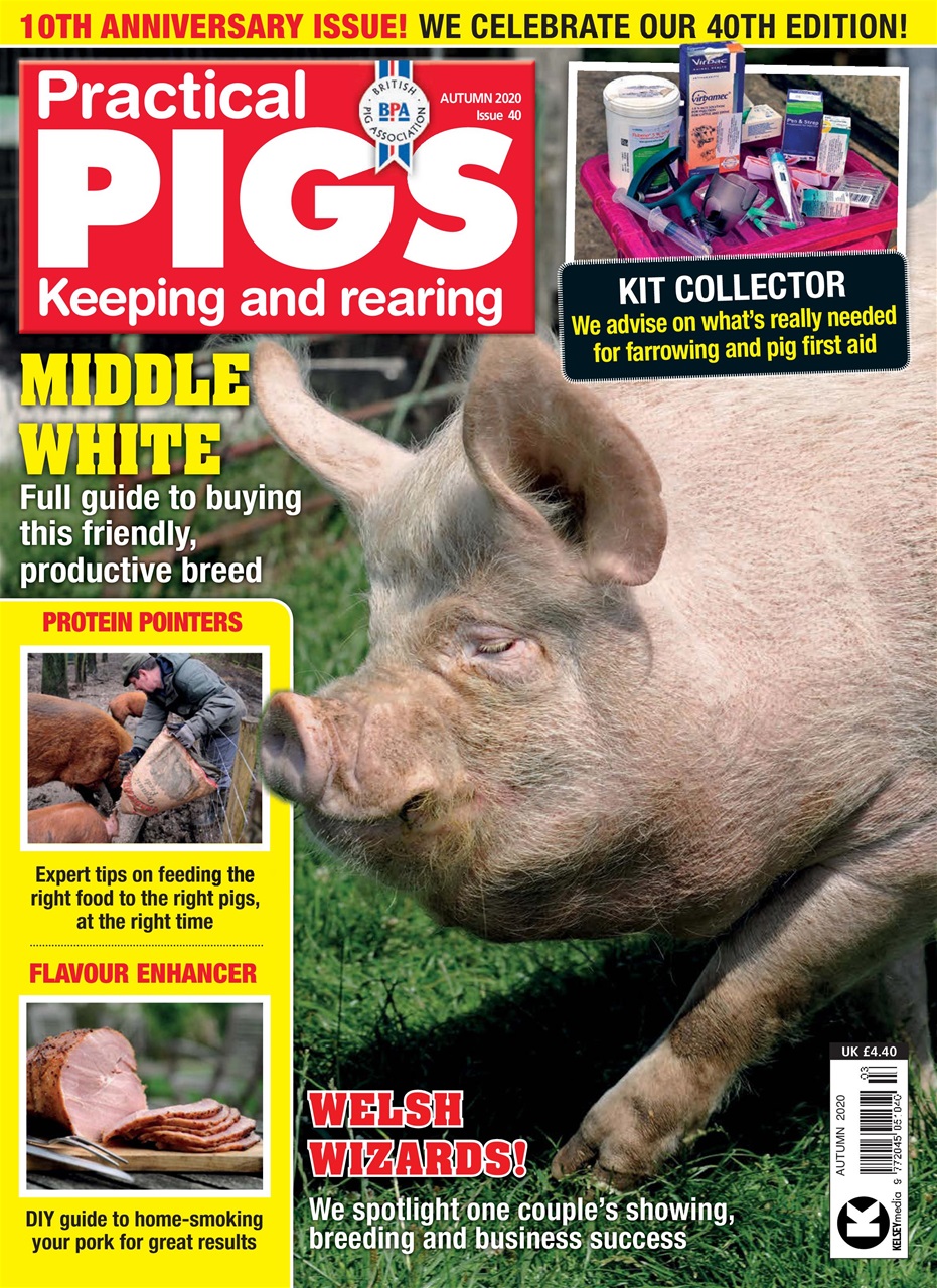 Practical Pigs Preview Pages