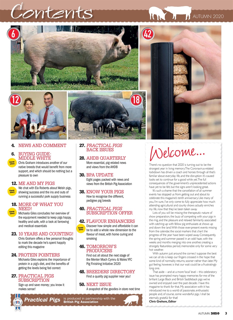 Practical Pigs Preview Pages
