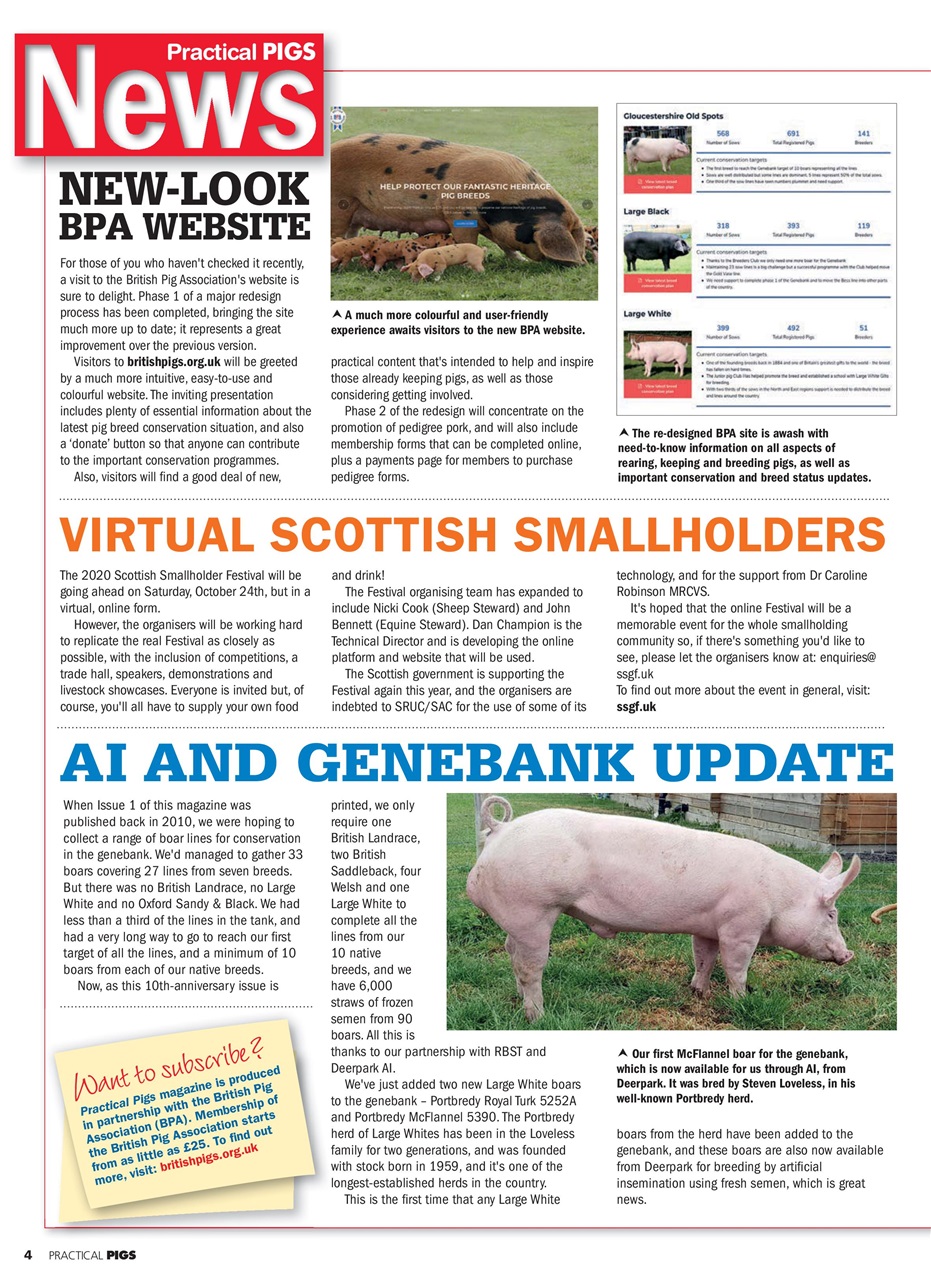 Practical Pigs Preview Pages