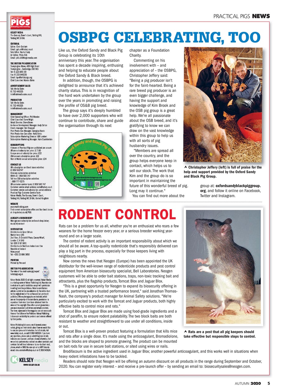 Practical Pigs Preview Pages