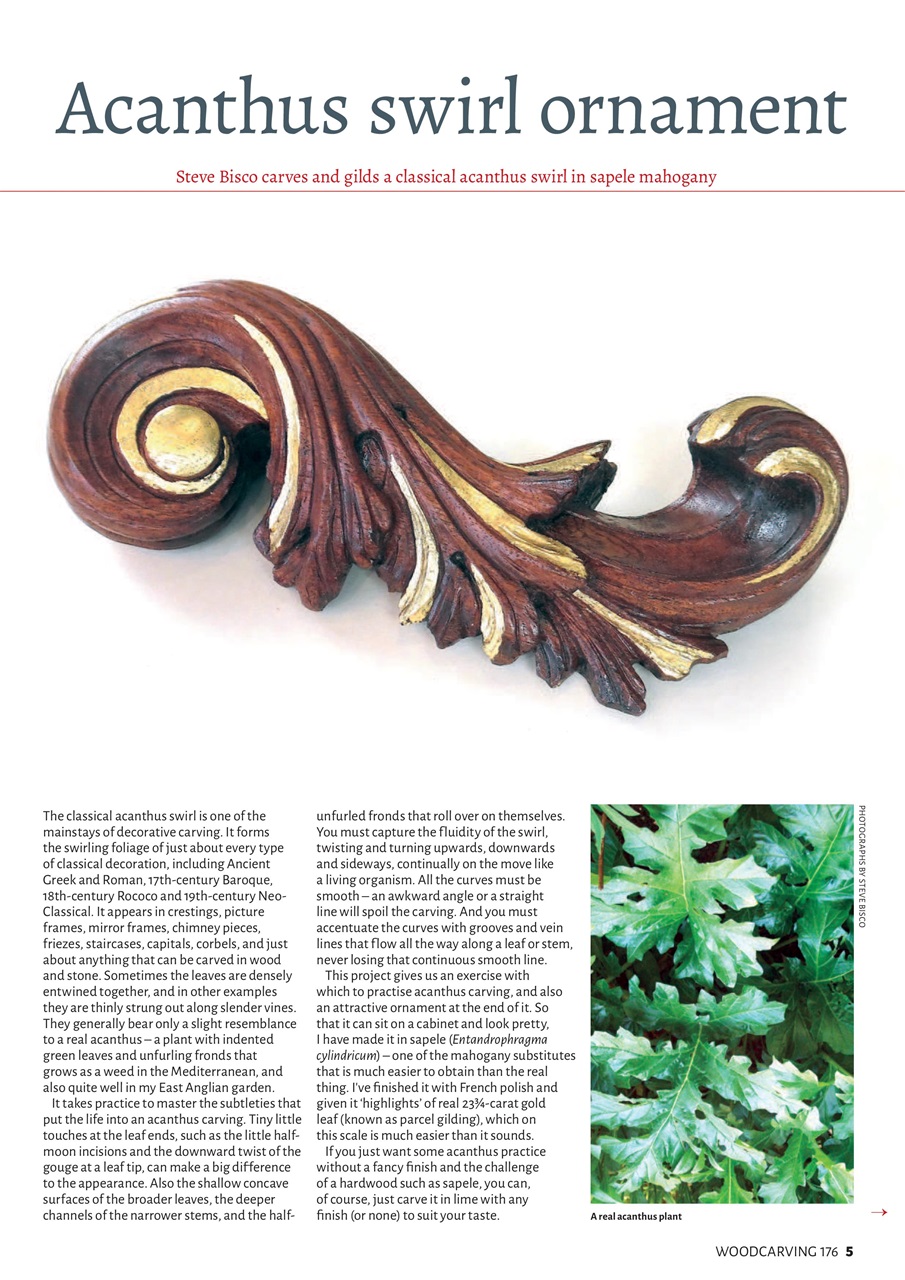 Woodcarving Preview Pages