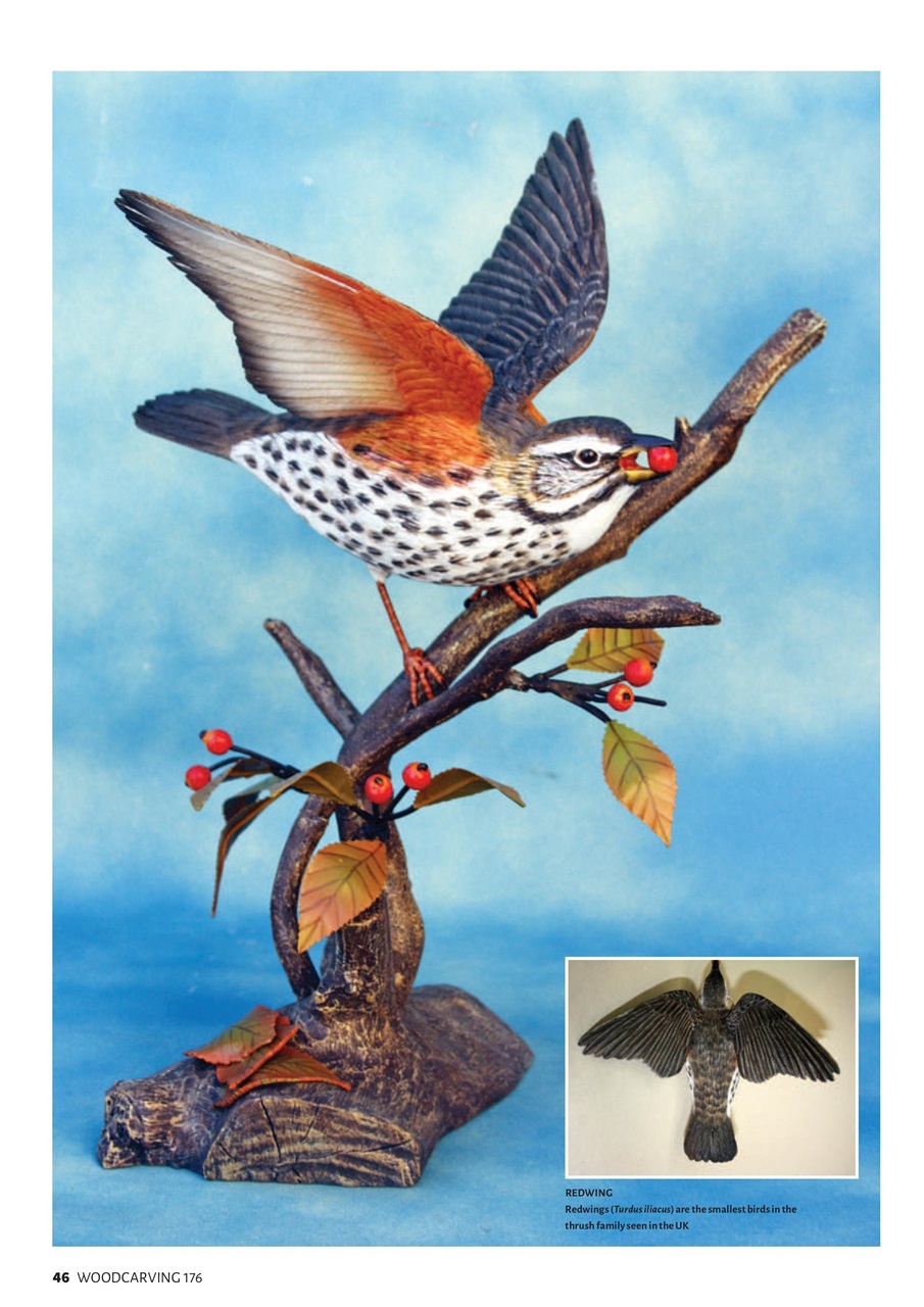 Woodcarving Preview Pages