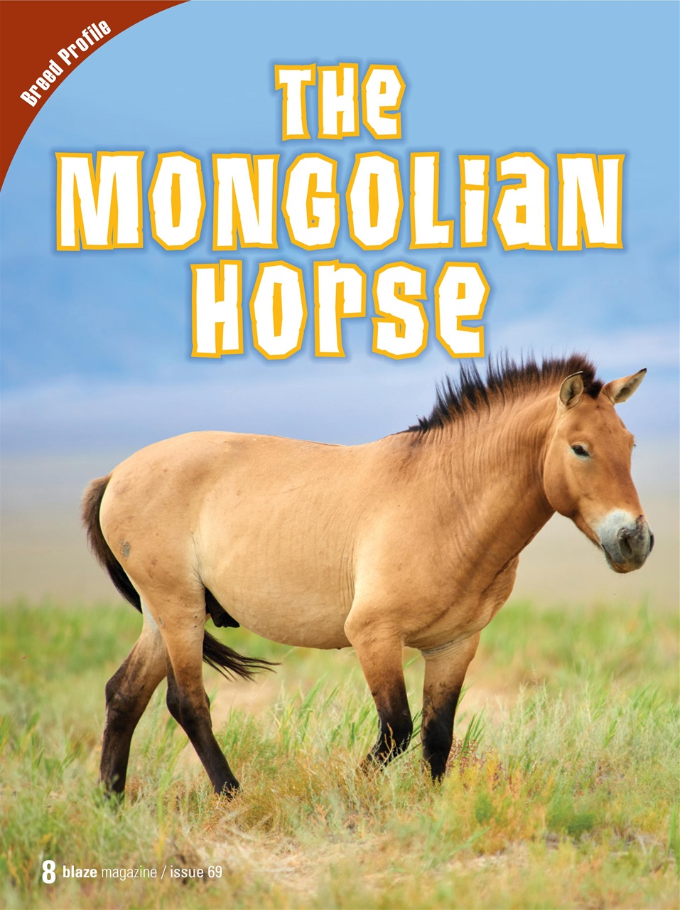 Blaze Magazine For Horse Crazy Kids Preview Pages