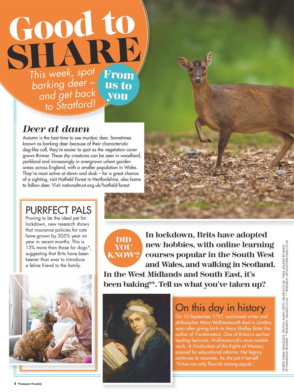 Woman's Weekly Preview Pages